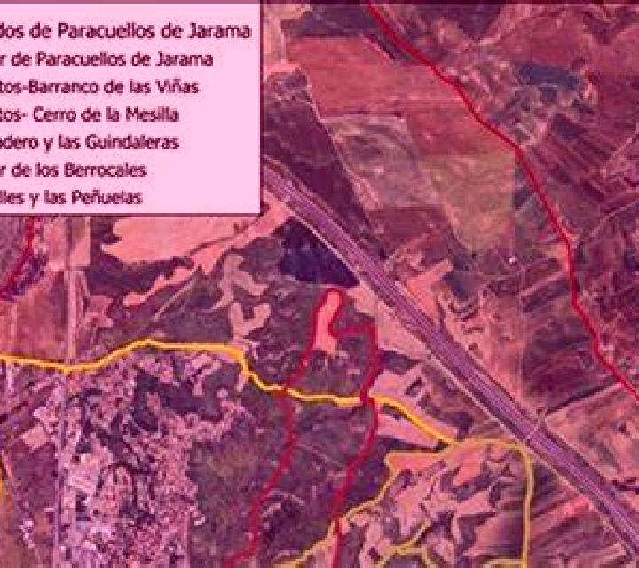 Vega Paracuellos de Jarama escort