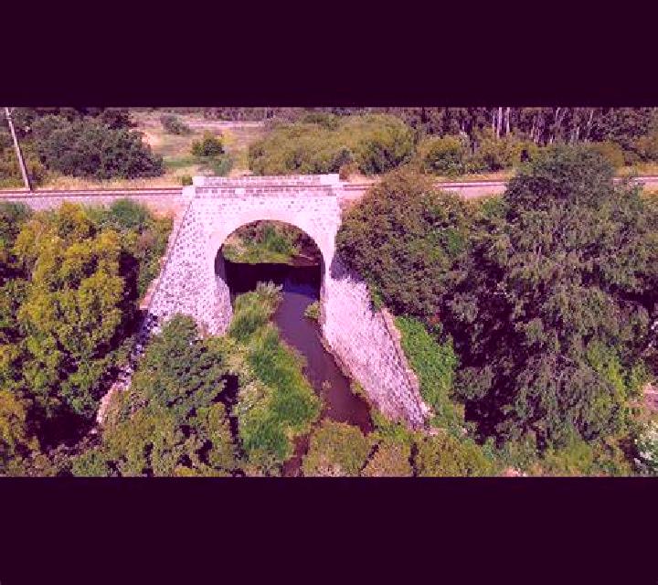 Vega Revellinos escort