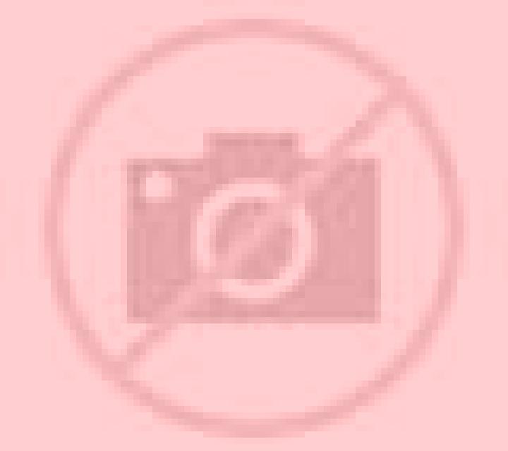 Ximena 3 Villamandos escort