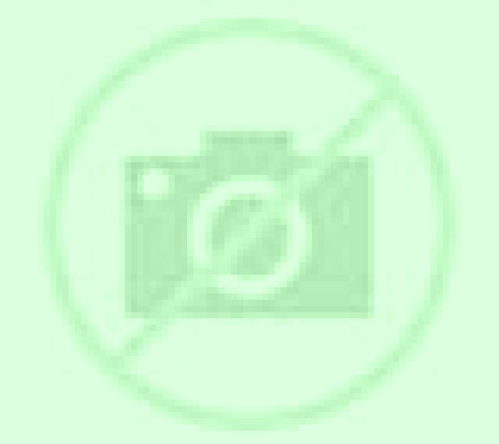 Ximena Alcaraz escort