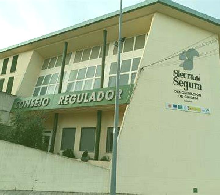 Ximena La Puerta de Segura escort