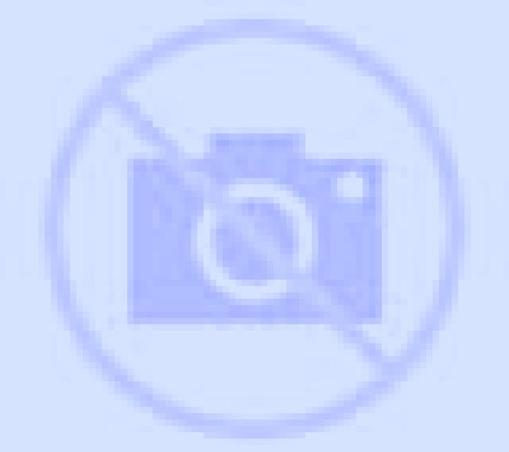 Yasmin 3 Tocina escort