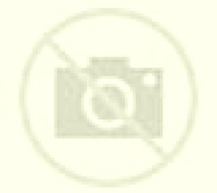 Yasmin Lanzuela escort