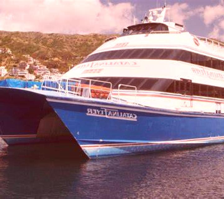 Yasmin Torrevieja escort