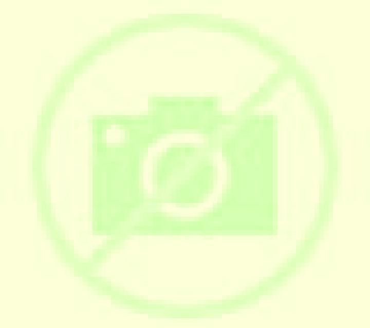 Zara 3 Mecerreyes escort