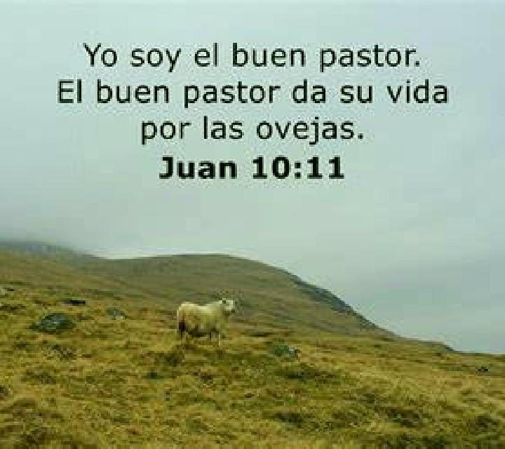 Zara el Bon Pastor escort